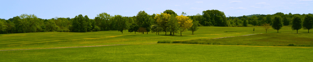Metzger Park walking trail