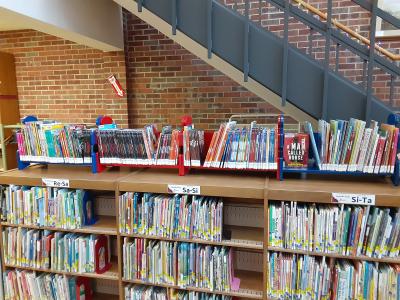 yet more children's nonfiction on the shelves under the stairs