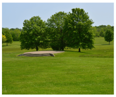 The amphitheater in Metzger Park.